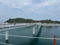 동해 신비의 섬 열린다…고성 해상길 최초 공개