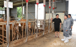 정성주 김제시장, 폭염 속 한우농가 찾아 현장 점검