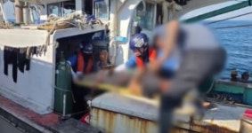 폭염 속 조업하던 50대 실신…장시간 작업 자제