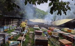 청송 현서면 양봉장 화재…벌통 40개 불타