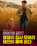 [카드뉴스]댕댕이 집사 모여라! 태안이 혜택 쏜다