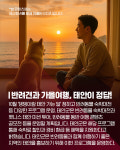 [카드뉴스]댕댕이 집사 모여라! 태안이 혜택 쏜다