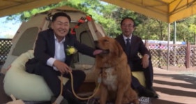 임실에 반려동물 동반 오수의견 캠핑장 개장