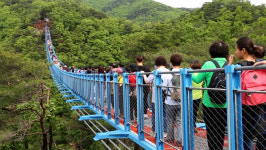 똘똘한 관광지 하나, 원주시 먹여 살려