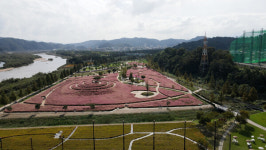 황매산 억새 축제 개막…가을 여행은 합천으로!
