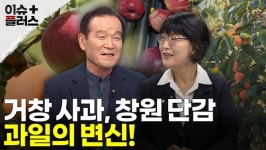 [이슈플러스 경남] 거창 사과·창원 단감 과일의 변신