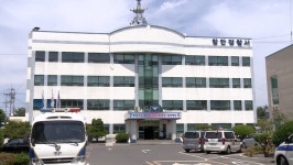 함안서 수확 앞둔 대봉감 사라져…경찰 수사