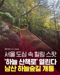 [카드뉴스] 서울 도심 속  힐링 산책로 열린다! 남산 하늘숲길 개통