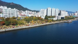 가을 바다와 국화…국화향 가득한 마산