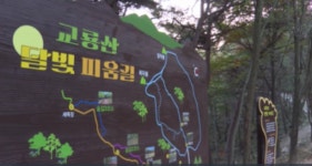 남원시 교룡산 둘레길 산림 치유 명소로 변화