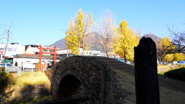 [11월 경남 여행] 무르익은 가을…황금빛으로 물든 창녕