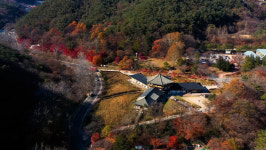 [11월 경남 여행] 붙잡고 싶은 가을 합천 가야산 소리길