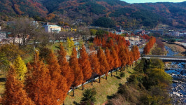 [11월 경남 여행] 붙잡고 싶은 가을 합천 가야산 소리길