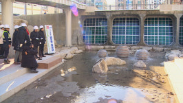 30년 만에 다시 돌아온 굴포천…옛 물길 다시 열렸다