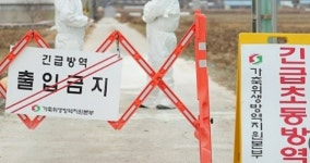 남원 육용종계 농장서 H5형 조류인플루엔자 확인