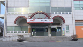 포천 돼지농장서 불…천 마리 폐사