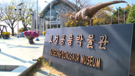 고성공룡박물관, 내년부터 1년 휴관