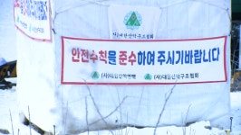 사고 반복되는 인공빙벽장…안전 기준은 공백