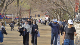 왕사남 대박 행진…영월 관광 반짝 특수