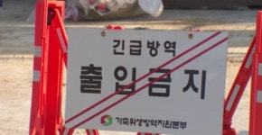 아산 메추리 농장서 H5형 AI 항원 검출