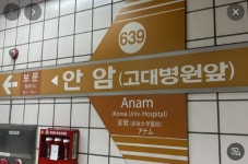 지하철 6호선 안암역 이산화탄소 유출 ··· 20여 분 운행 차질