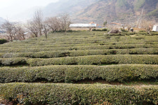 지리산 화개골 강가에서 나를 만나는 시간