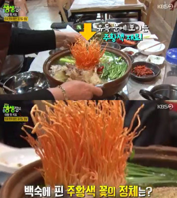 '생생정보 대동맛지도' 동충하초 닭백숙 맛집 위치+가격 공개 | 포토뉴스