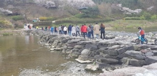 진천 농다리‧초롱길 긴급 폐쇄…인파 급증 따라