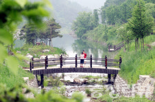 충북, 이제 숲에 주목하라
