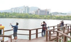 충주 호암지, 수질개선 및 생태관광명소화 된다