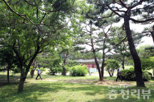지금 청주 흥덕사지 산책로