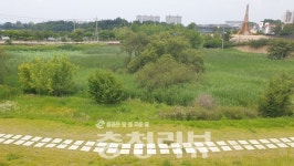 충주씨 수달 출몰, 호암지에 몰고 온 영향