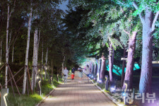 밤을 잊은 보강천의 야경 여행