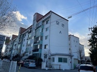 50년 동안 아파트는 누가 다 지었나