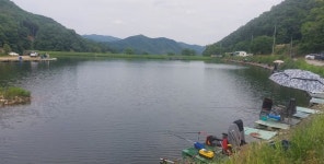 보은군, 낚시터 운영 실태 및 안전 점검 추진