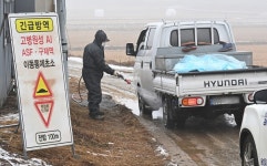 청주 오송 산란계 농장서 조류인플루엔자 항원 검출…방역당국 비상