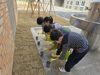 오송솔미초등학교병설유치원 식목일 행사
