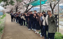 금왕읍 직원, 문화체험 벚꽃 나들이 만족