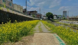 충주시, 지역사회 위한 나눔과 봉사 활발