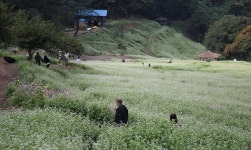 청주시, 낭성 추정1리 대상 마을만들기 사업 추진