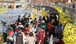 꿈자람골 용산동, 국화꽃길 나들이 행사 개최