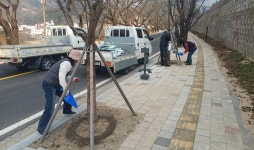 수안보농협-온천관광협, 벚꽃길 관리 실시