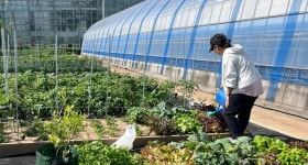 괴산군, 주말영농 체험농장 이용자 모집