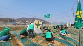 소이면 새마을지도자협, 봄맞이 꽃묘 식재