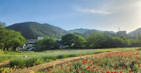충주 수안보, 꽃으로 물든 도시 변신