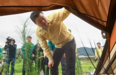 충북도, 충주 단월강수욕장 불법 텐트 현장 점검
