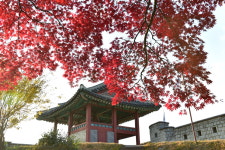 수원화성 성곽길,광교호수공원,만석공원 단풍이 아름다운 길