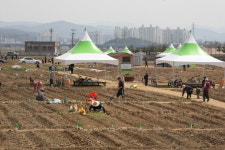 파주시, 금촌동 파주희망농장 참여자 접수