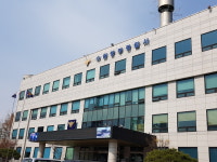 하다 못해 나무까지... 이웃집 단풍나무 훔쳐간 60대 입건