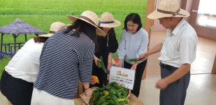치매안심 텃밭에서 키운 여주로‘훈훈한 나눔’